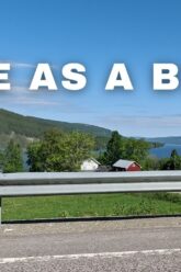 [ID: dBXT6CZCsKQ] Youtube Automatic