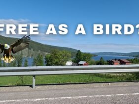 [ID: dBXT6CZCsKQ] Youtube Automatic