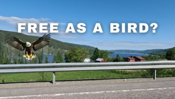 [ID: dBXT6CZCsKQ] Youtube Automatic