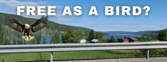 [ID: dBXT6CZCsKQ] Youtube Automatic